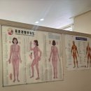 몸짱얼짱체형관리 이미지