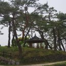 노송주유소 이미지