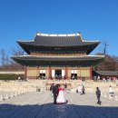 종로-종로-종로-종-165 | 서울 창덕궁 [2] / 2025.12