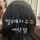 컬러&하우스(예산점)