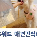 펫츠월드 이미지