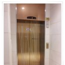 비즈트위트 레인보우 이미지