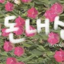 스시로지 이미지