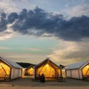 별빛바다 이미지