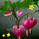 산호당약국 이미지