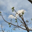 서리농장 이미지