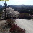 (전남 화순) 백아산 ; 관광목장~휴양림 (18.04.08) 이미지