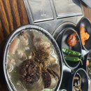 동광로1길 24 이미지