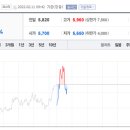 여행대장주