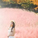 담기다스튜디오