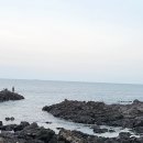 제주 올레길 4코스 이미지