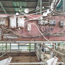 선화목장 이미지