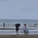 춘장대해수욕장 이미지