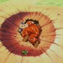 함상명 복싱클럽 이미지