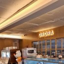 오로라케익하우스 이미지