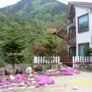 와바캠프민박 이미지