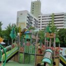 들국화어린이공원 이미지