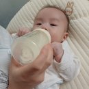 서울왕족발 노벨치킨 안동찜닭 | 주간일기) 다이소 네임스티커/개금시장 투윙닭강정/누렁누렁 베개피