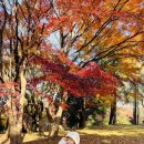 ❤️별하반❤️ 자산공원 곤충박물관 견학을 가요🏞️ 이미지