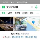 용인대 청용 태권도장 이미지