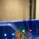 포토시그니처동 | [내돈내산/제주숙소]제주도 서귀포 숙소 추천 - 비스비제주앤팜빌리지/시그니처2F20호/제주도오션뷰/범섬뷰