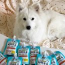 펫하임 강아지 고양이 | 파미데이즈 펫밀크 후기｜강아지 고양이 간식 추천 구강케어까지