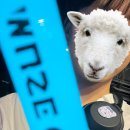 무신사 개러지 이미지