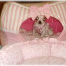 산이랑 바다 이미지