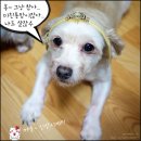 홍 - 남구 대학로147번길 36 | 홍