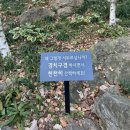 2025 곤지암 화담숲 지금 실시간 단풍 절정? 포토스팟 스탬프스팟 주차 정보