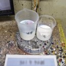 천일자동차정비공업사 이미지