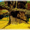 올림포스전자 이미지