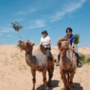 초원대중 이미지