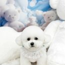 (주)스타몽 이미지