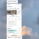 대구 대현동 ‘효가막창’ 소막창&amp;숯불닭발 맛집