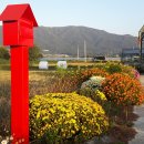 정서네농장 이미지