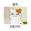 속초어시장 - 강남구 삼성로85길 39 | 속초어시장