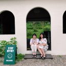 stay mymy 네이버블로그