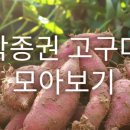 논밭상점 네이버블로그