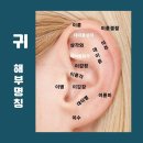 이혈요법 이미지