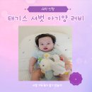 임신 선물 추천 애착 인형 태기스 셔벗 아기양 러비