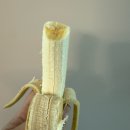 어매밥줘 | 이번주도 알찼습니다요~