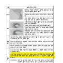 깐돌이님 댓글을 보고...... 이미지