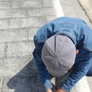 아빠의 구토유발자는 히포그리프