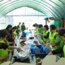 안성동부푸드뱅크 이미지