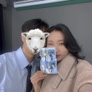 포토그레이시흥