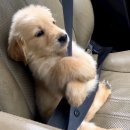 보담가든 | 2025 세종보헤미안 뮤직페스티벌 후기