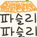 안암동물병원 이미지