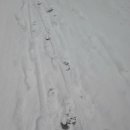 뽀독뽀독 이미지