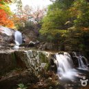 방태산황토펜션식당 이미지